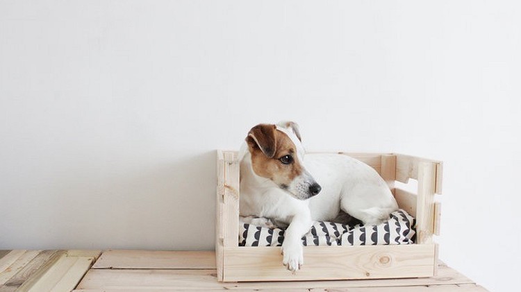 8 классных предметов для вашей собаки, которые можно сделать своими руками из мебели ИКЕА